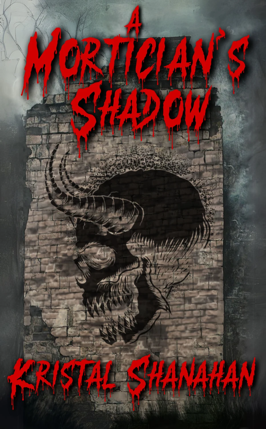 A Mortician’s Shadow book cover